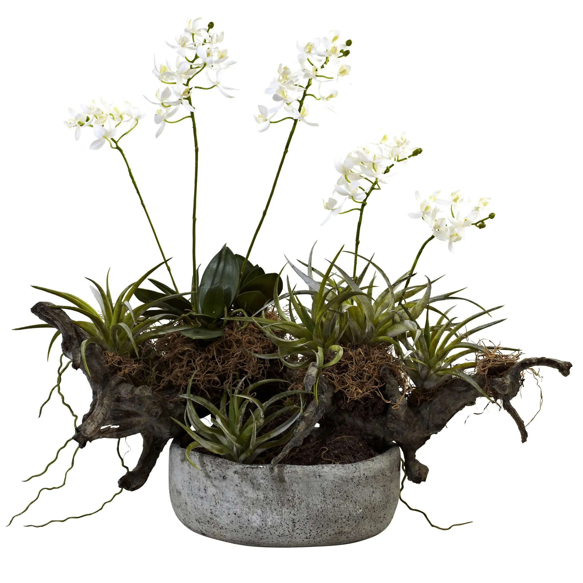 20" Artificial Orchid & Succulent Garden w/Driftwood & Vase - Low Maintenance, Life-Like & Vibrant Silk Flowers For Busy People.