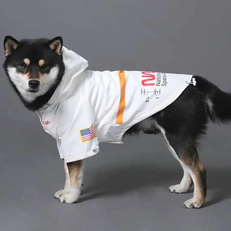 Astronaut Raincoat for French Bulldog (WS213)