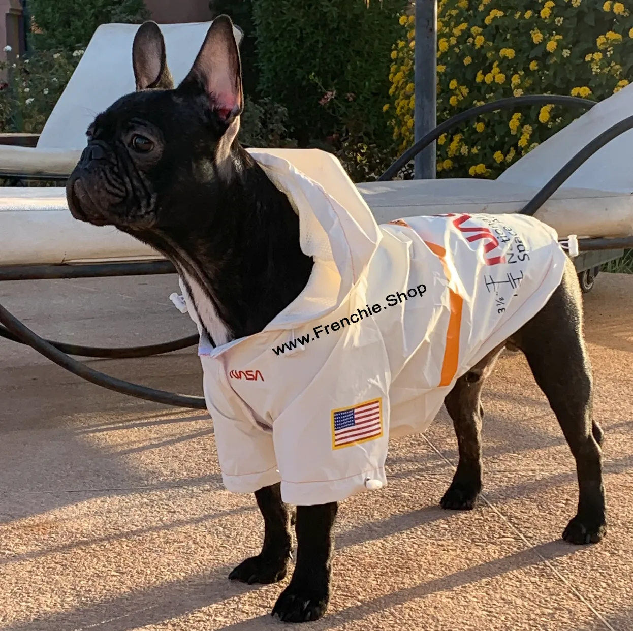 Astronaut Raincoat for French Bulldog (WS213)