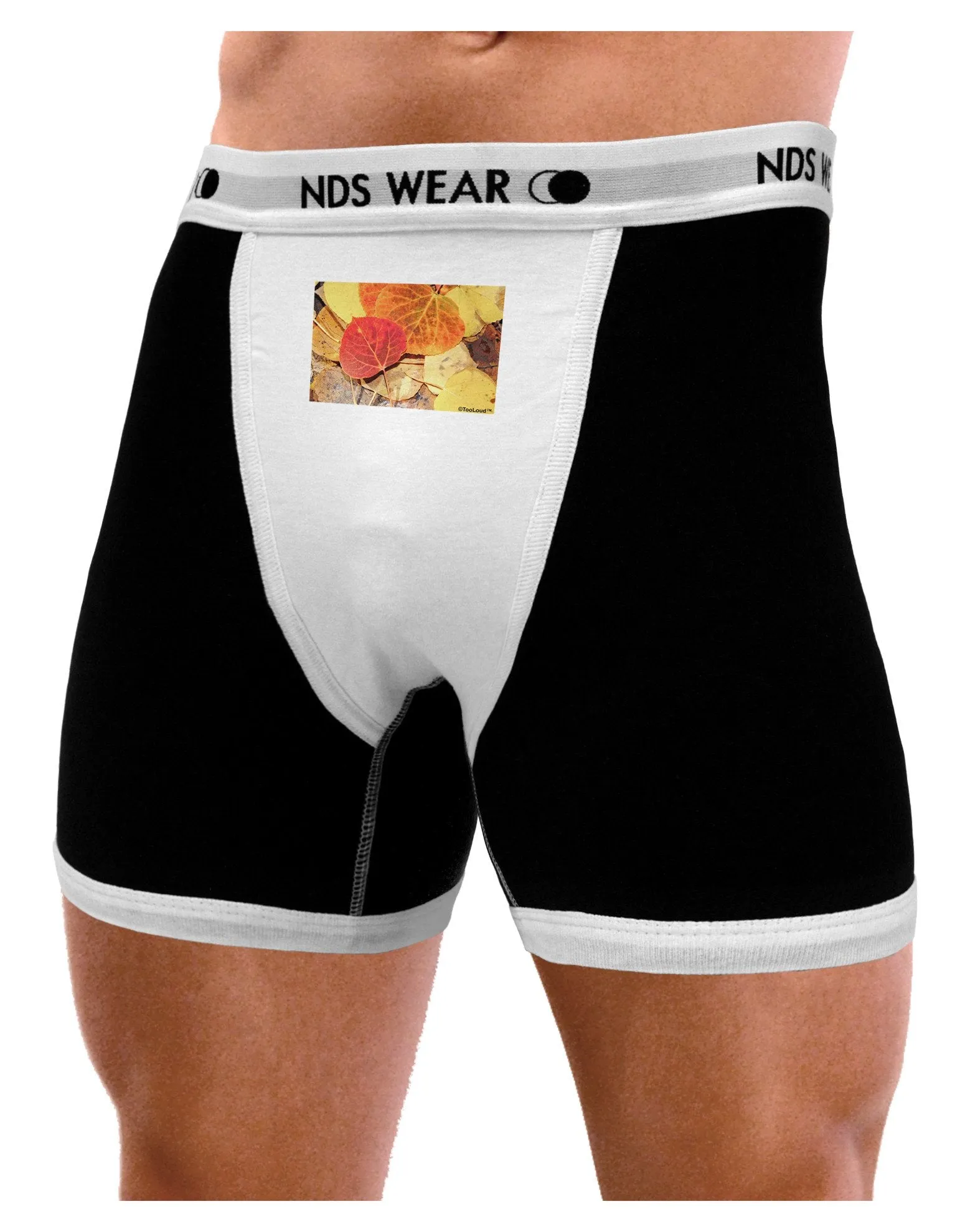 Colorado - Autumn Mens Boxer Brief Underwear