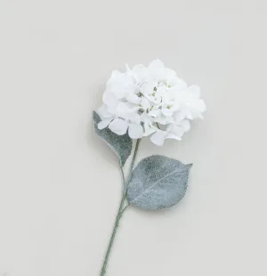 Frosted winter white hydrangea stem