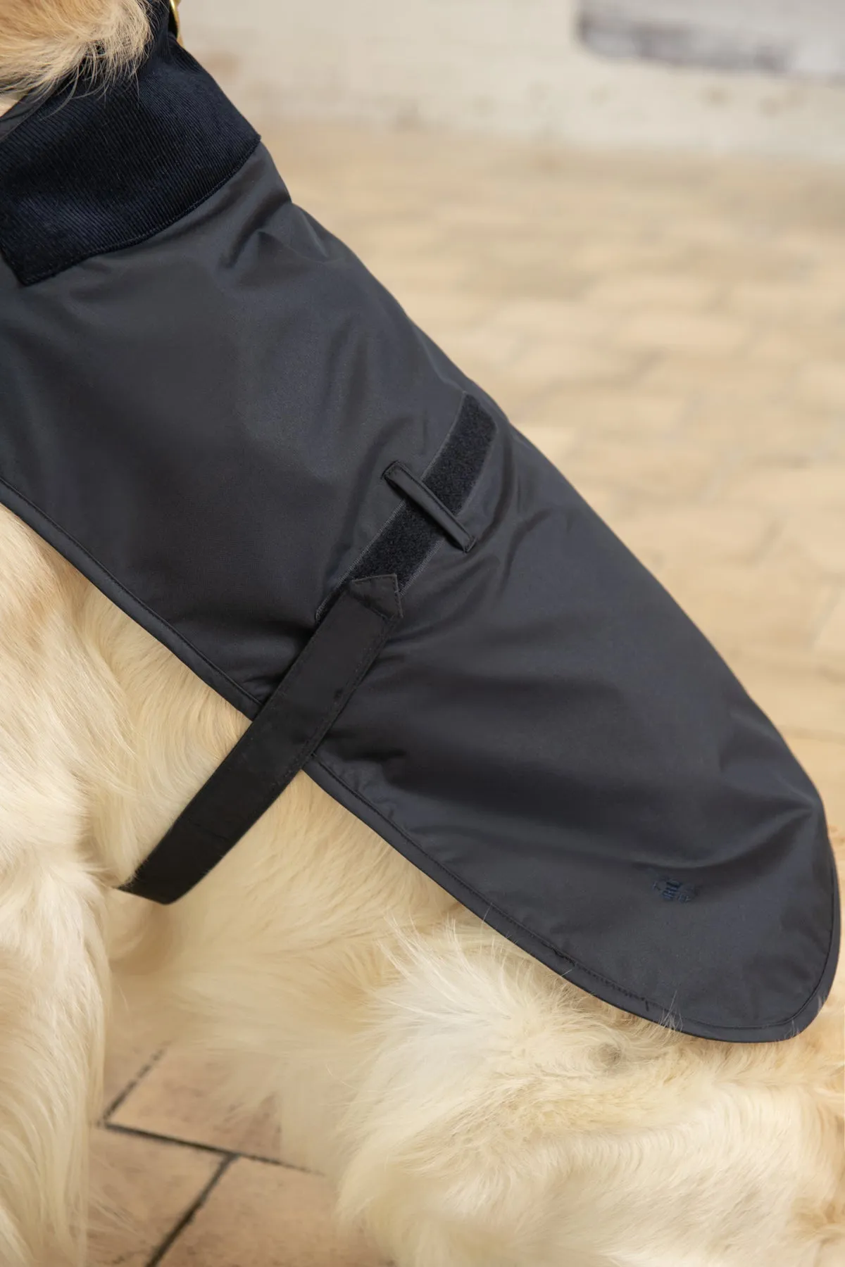 Heritage Dog Coat - Nightshade