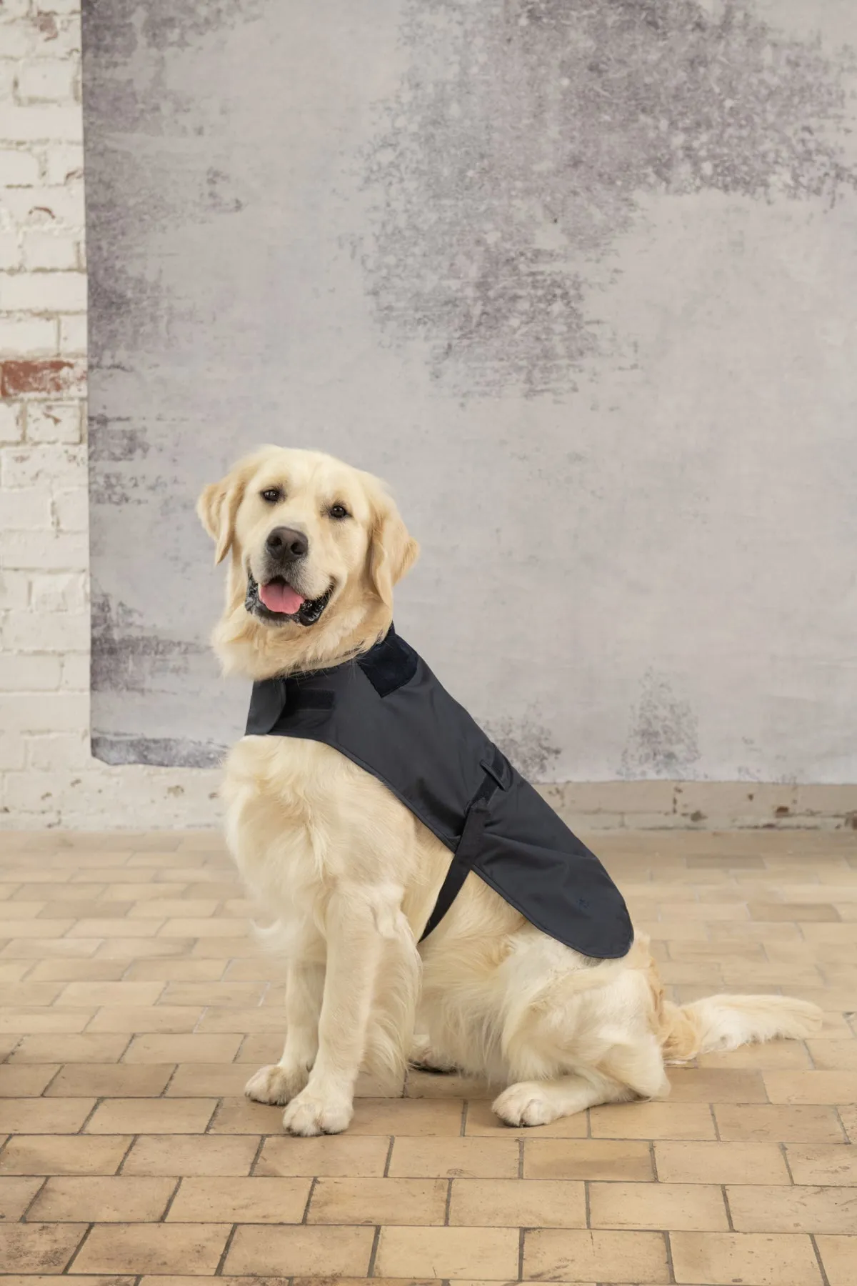 Heritage Dog Coat - Nightshade