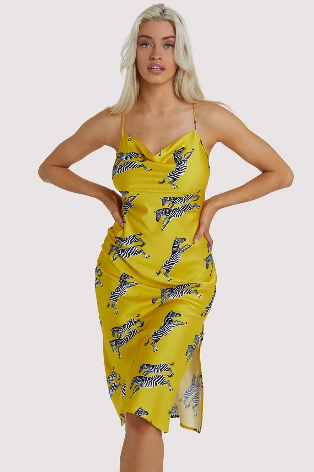 Kilo Brava EXCLUSIVE Mustard Zebra Dress