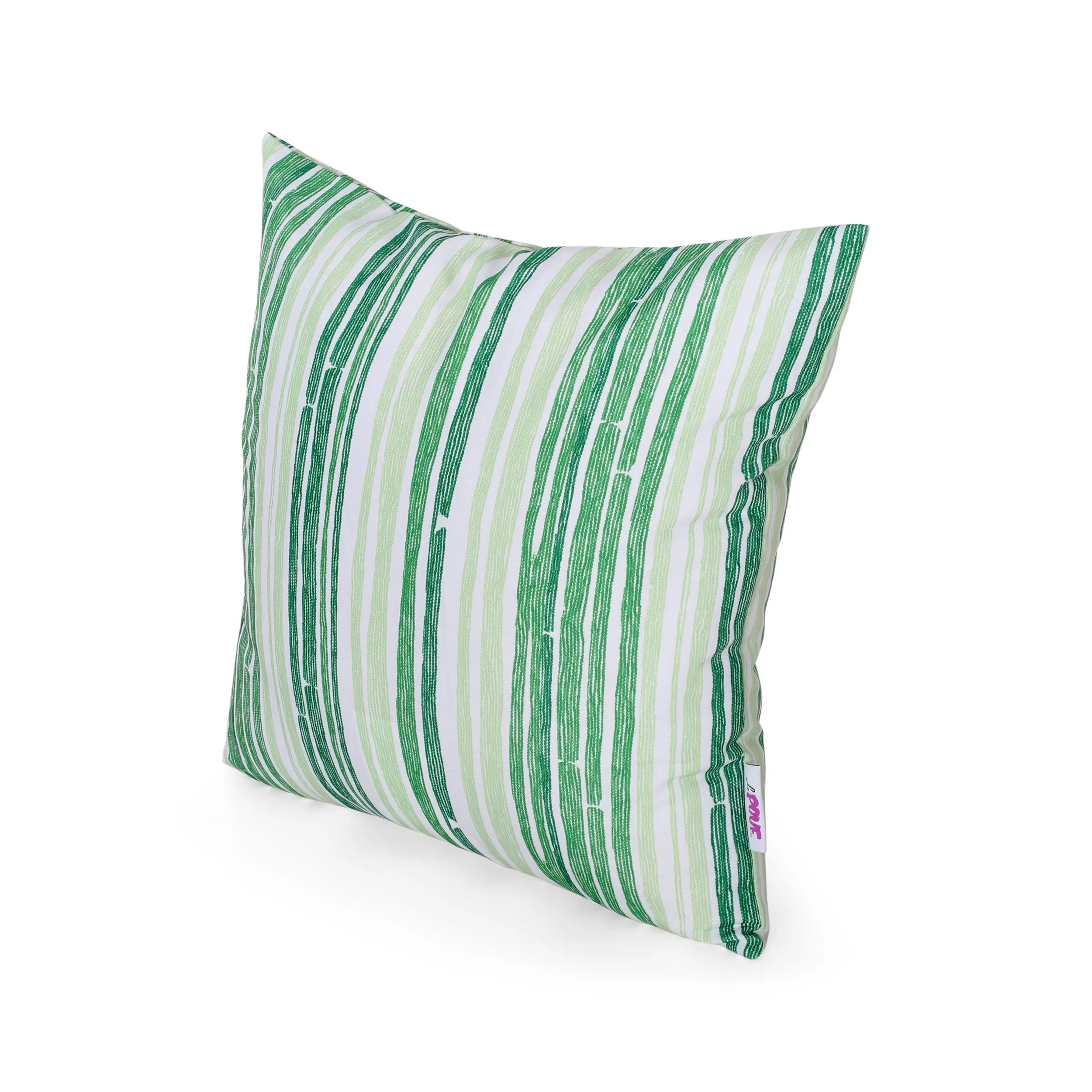 Nayah Modern Indoor Pillow Cover