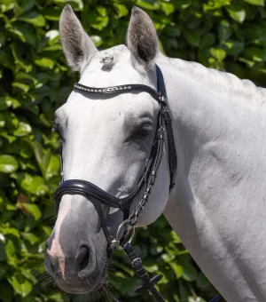 Palazzo Anatomical Bridle Black