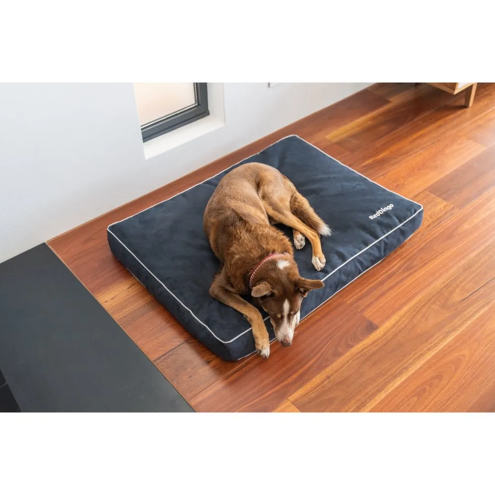 Red Dingo Premium Mattress Dog Bed (Chocolate)