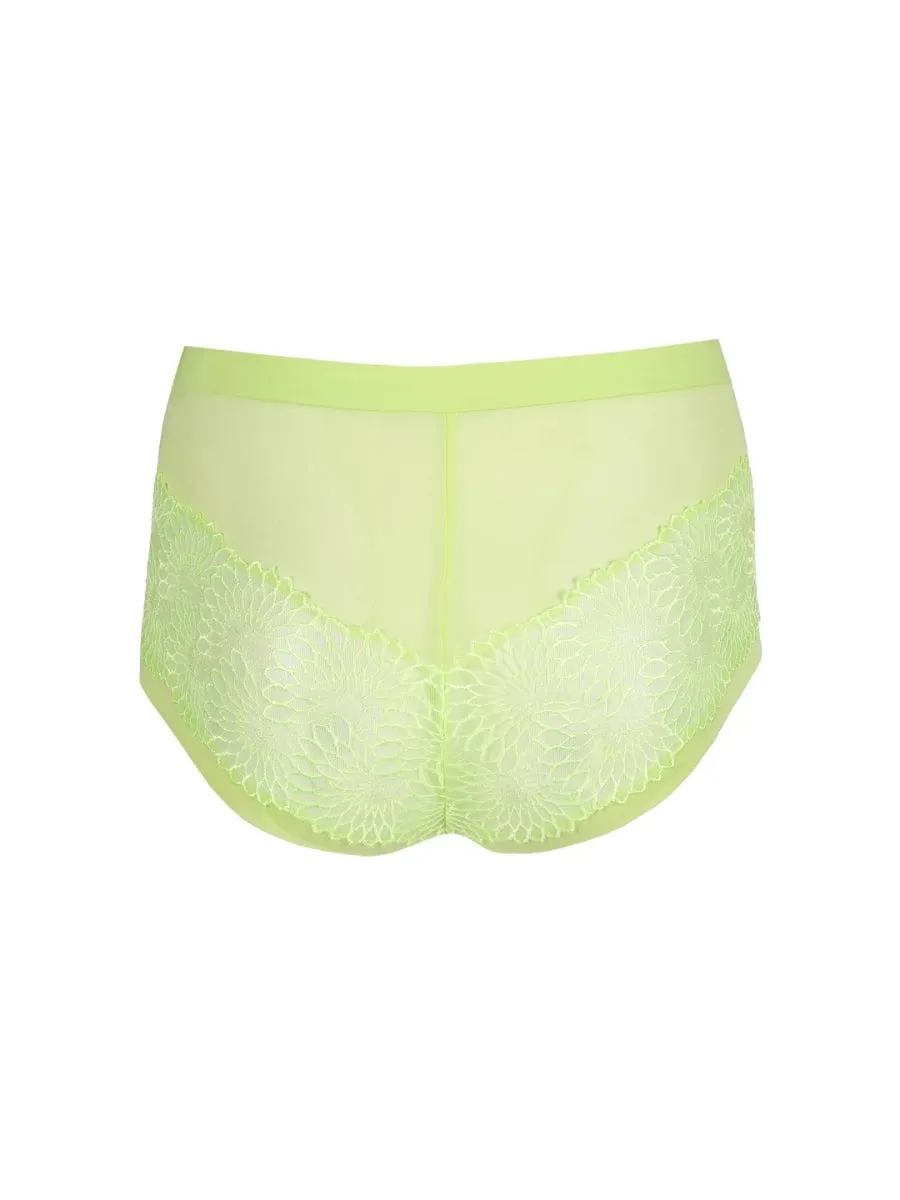 Sophora Hotpant