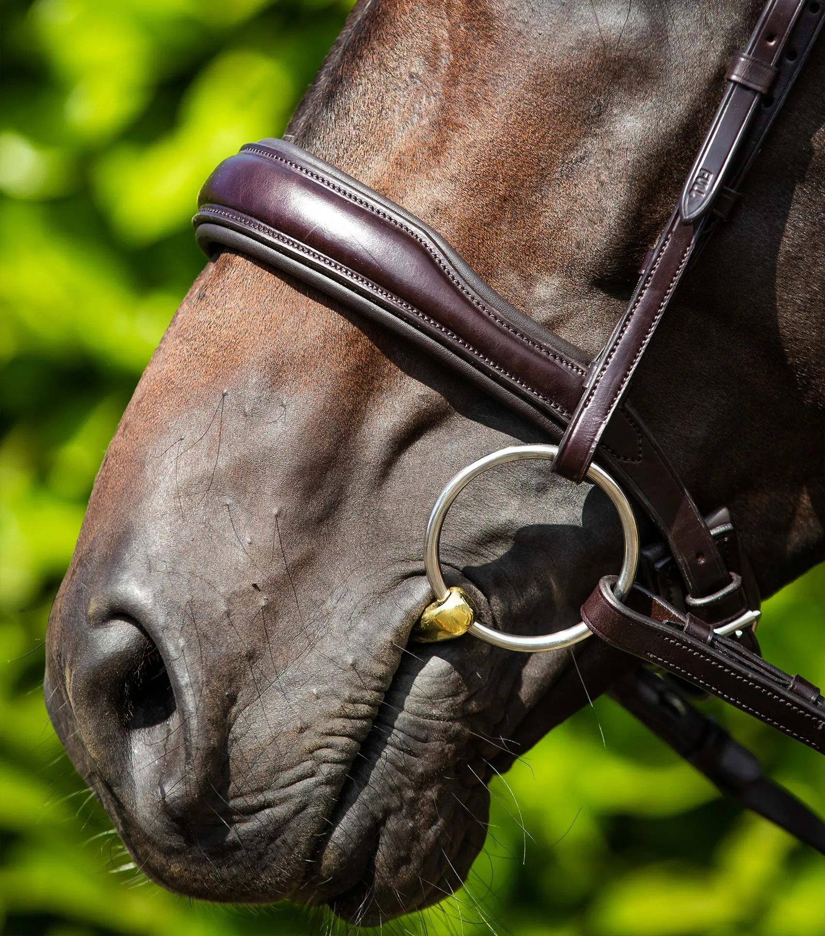 Verdura Anatomic Cavesson Noseband Brown